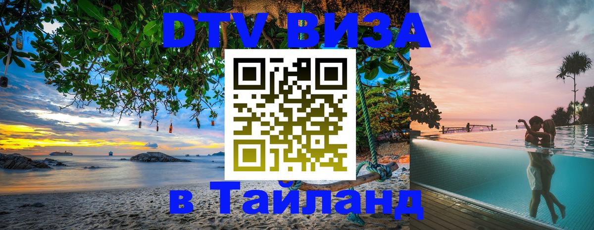 Сколько стоит DTV виза — актуальные цены, оформление даже без документов - Брянск 